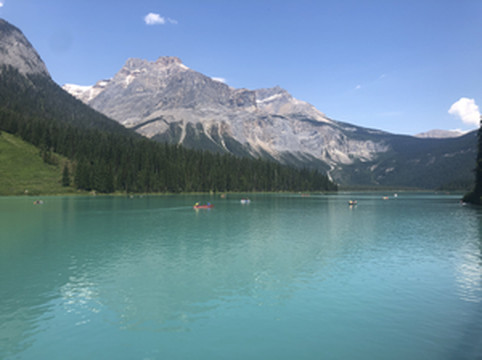 落基山脉地区游记图文-Day 3 Banff|翡翠湖+弓湖沿途景点打包游