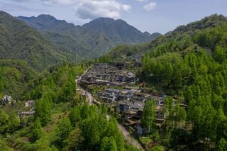 四川版“莫干山”，现实版“绿野仙踪”，发现青城山中的惬意生活