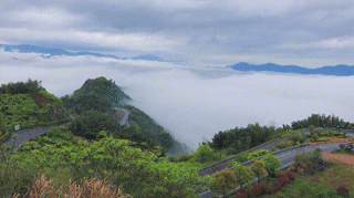 在宁波四明山盘山公路上抓拍到“惊人”一幕