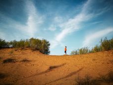 毛乌素沙漠-靖边-爱耍的周大爷