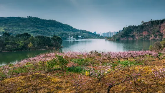 寶獅湖