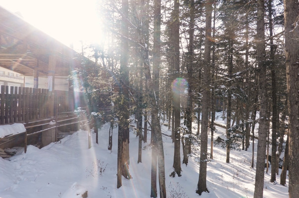 【长白山游记】去体验一次北方人的雪旅 | 一起滑进2021