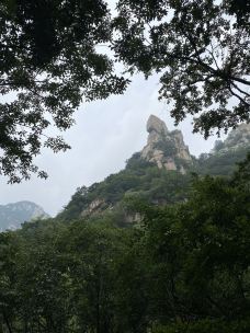 百泉山-北京-M26****4706