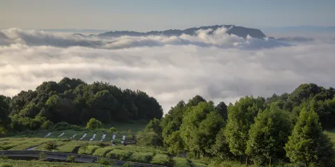 七星山森林公園