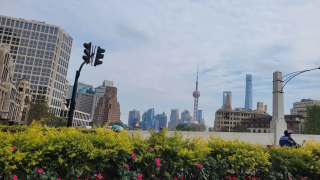 乍浦路桥旅行图片 2