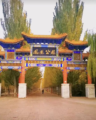 秋意浓，秋色美，凤凰公园和你有一场约会！