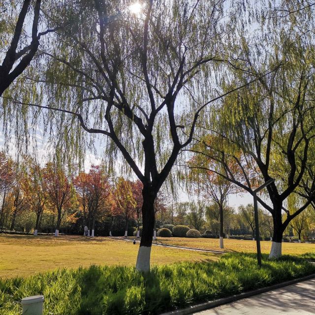 江浦公园旅行图片 3