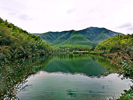江苏宜兴竹海,纵横八百里,华东数第一