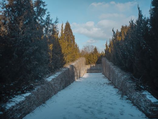秦皇植物园