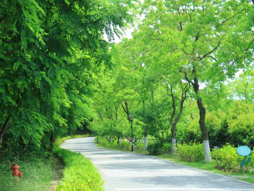 香山景区