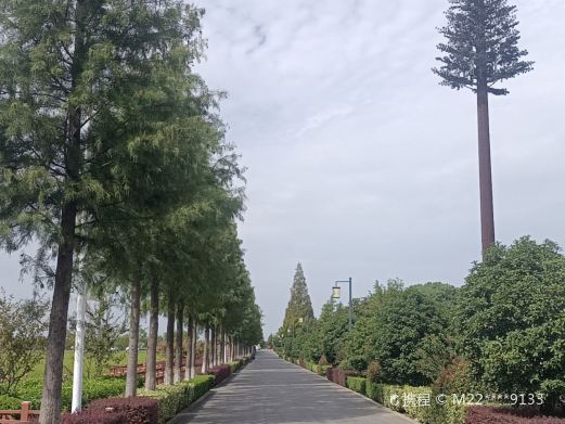 林渡暖村