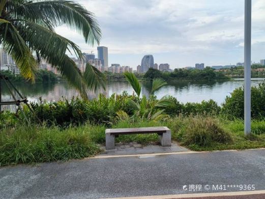 红城湖公园