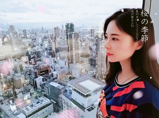 秋日,让我们来一场温馨浪漫之旅吧(大阪-京都 7 日 自由行)