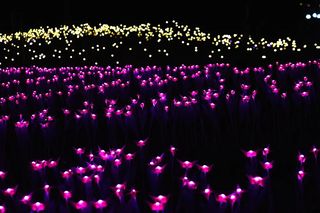 禾泉小镇桃花源记夜景美翻了~