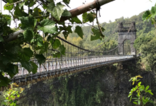 东河桥景点图片