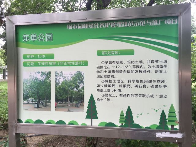 东单公园旅行图片 1