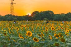 苏州中国花卉植物园-苏州-C-IMAGE