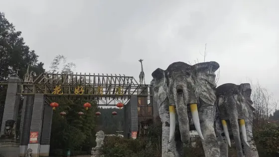 花好月圓動物園