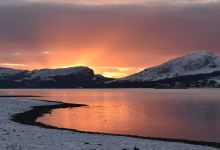 Carron Restaurant美食图片