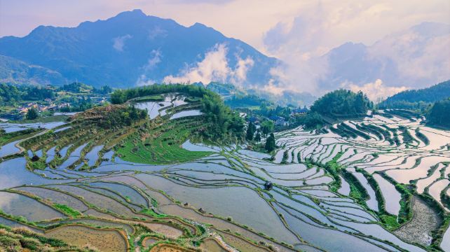 云和梯田景区