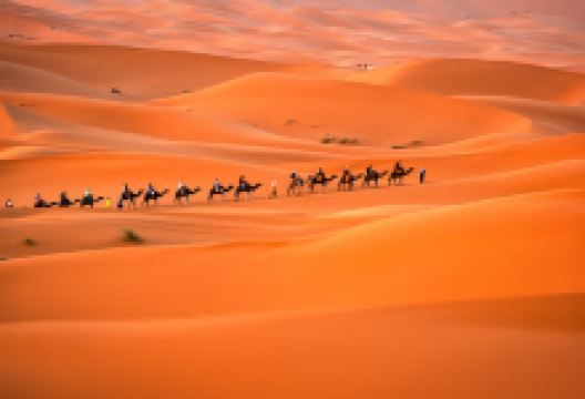 沙漠团景点图片