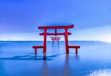 大鱼神社之海中鸟居景点图片