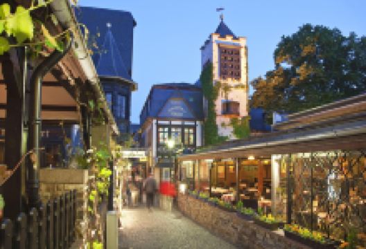 画眉鸟小巷景点图片