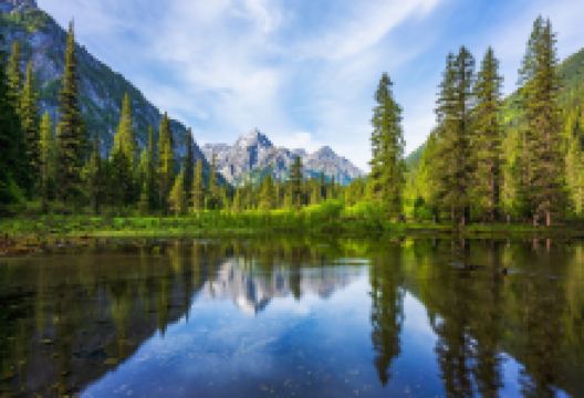 王朗国家级自然保护区景点图片