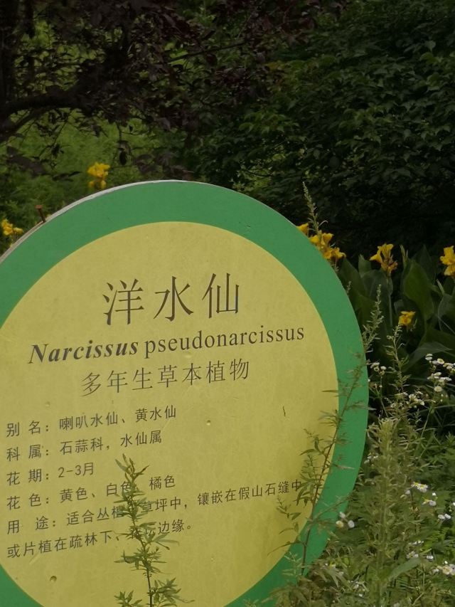 贵州龙架山国家森林公园旅行图片 4