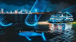 厦门夜游升级,坐游船一站打卡厦门湾千亿金砖夜景,赏海上灯光秀