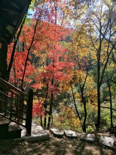 猴石国家森林公园-新宾-YoYo_8B6E7T2S