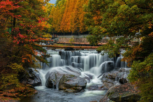 带你走进洛阳白云山,邂逅醉美的秋天