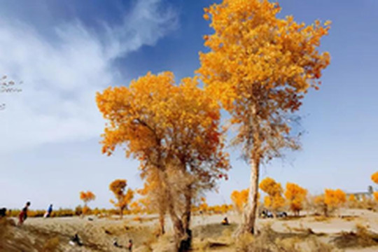 和田地区游记图片] 除了美玉，新疆和田还有这些美景值得一看