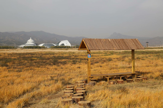 巴彦淖尔游记图文-草原秋色-秋天的草原，碧草换上了金装，没有高大形象，没有艳丽姿色，只是默默地用生命装点大地的美丽。