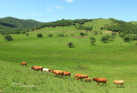 关山云凤风景名胜区太极八卦事景点景点图片