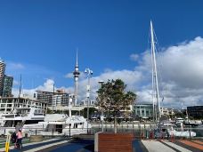 天空塔-奥克兰-yangduoduo17