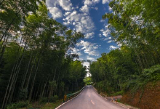 蜀南竹海风景名胜区-翡翠长廊景点图片