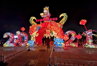 刘筱林：黄岛牛年灯会