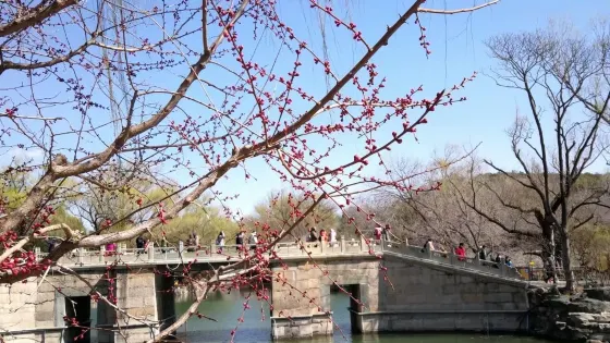 煙霞湖