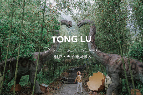 藏在浙江“深山中的绿色明珠”，去桐庐天子地来一场解压之旅！