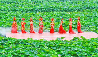 【好消息】浓情过端午