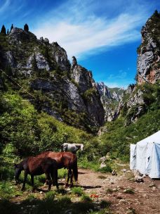 阿坝州纳摩大峡谷-若尔盖-爱喝茶的辰琪哥