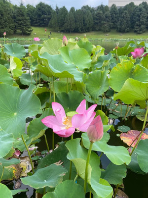 起点即终点，重返人间。西北大环线回程 西行慢慢记结篇