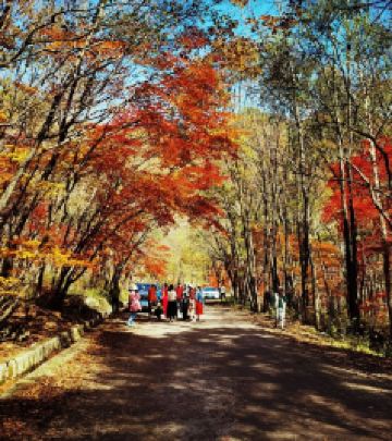 本溪县游记图文-云游四海（1559）金秋枫叶行之二——大地森林公园