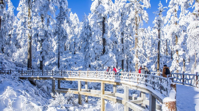 “因熊联萌” | 瓦屋山的冰雪童话世界今日开幕!