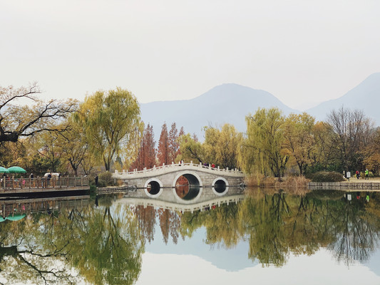 北京2大温室植物园,深藏千种珍稀花草,其中1个末代皇帝当过园丁
