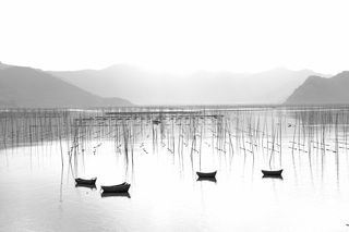 一个就价值百万：中国最贵的食材是什么？