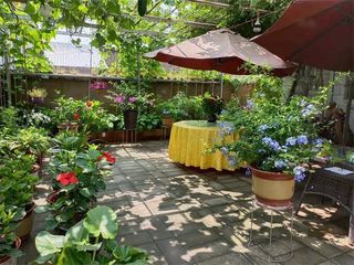北京密云水库凤荣农家院,这道菜多次被媒体曝光,包院仅需1200!