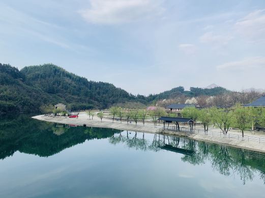 杨家寨
