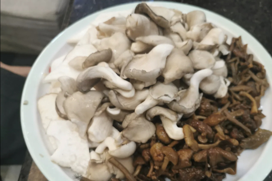 九寨菌王山珍馆(苍溪店)餐厅图片